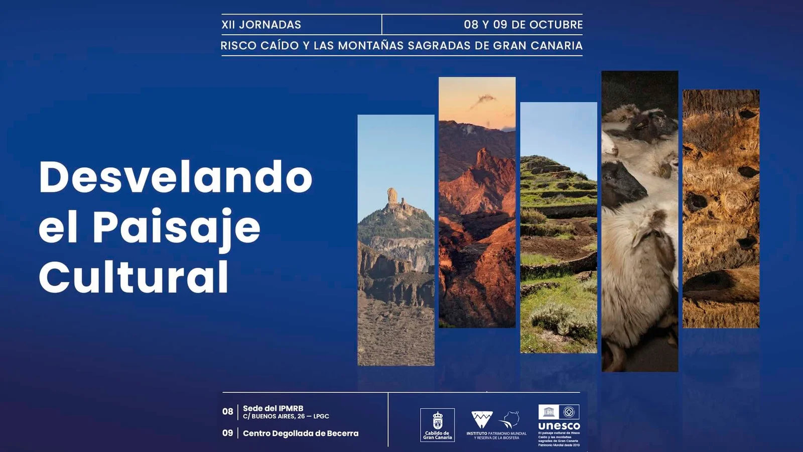 XII Jornadas 'Risco Caído. Desvelando el paisaje cultural'